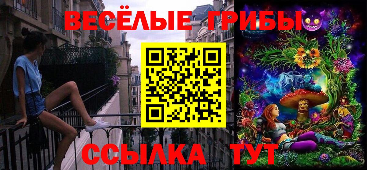 Зеленогорск  Псилоцибиновые грибы GOLDEN TEACHER  Вход с VPN 