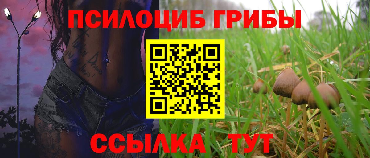 Псилоцибиновые грибы мухоморы Зеленогорск